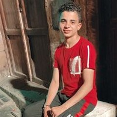 mohemamohy
