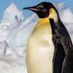 EmperorPenguin