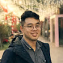 Hoang Anh Dinh Ngoc cmc