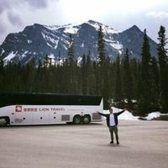 Travis Mcphee
