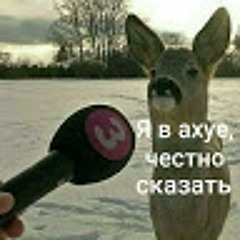Тихий огонёк (gachi version / right)