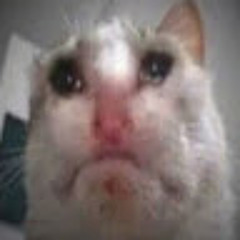 Cypis - Gdzie jest biaÅy wÄgorz