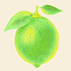 Green Lime