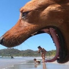 Siti Rohana Boyu Purba