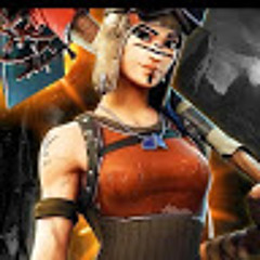 Crashed FN