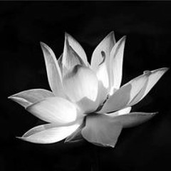 thatraminhdeohieulam