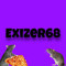 Exizer 68