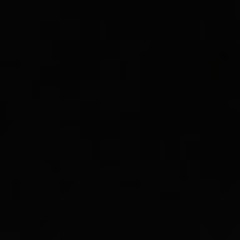 user555729242