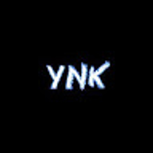 Y N K’s avatar