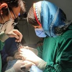 Dr MQC