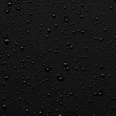 Jonathan Alexis Reyes