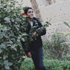 Zakaria Bekheet mouner