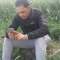 طلعت عزت