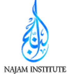 Najam Institute