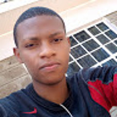 stephen njau