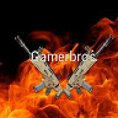 Gamer bro's