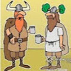 LeFrenchViking95