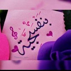 aseel alim