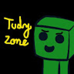 tudyzone