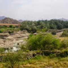 English Oman