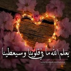 y2mate.com - يا ويلي من حبه سكر على مربى حالات واتس وائل كفوري.mp3