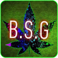 bsg painz