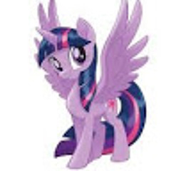User 780503105