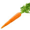 VG_Carrot