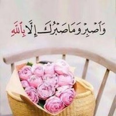 Abd Elrahman Mabrouk