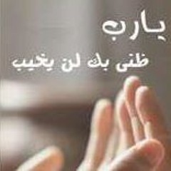 Bushra Hassan