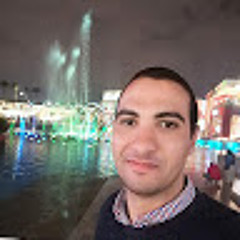 Mohamed Mostafa Abdelhady