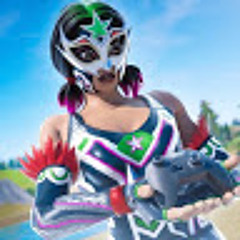 Mini Bot