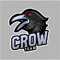 TEAM CROW