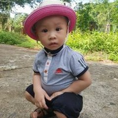 Vũ Tuyên