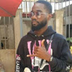 Estêvão N. Salomão