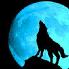 BlueWolf 112