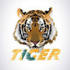 NOOB TIGER