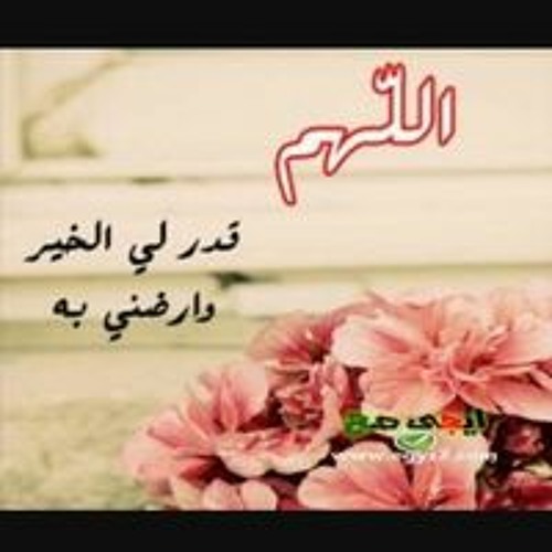 Om Abdelrahman’s avatar
