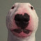 leon