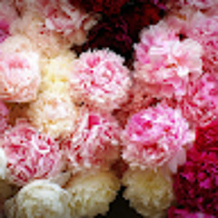 Ксения Третьяк