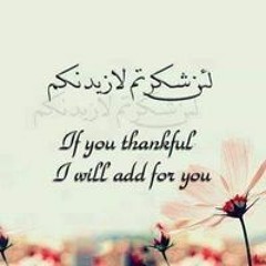 Alaa Ahmed