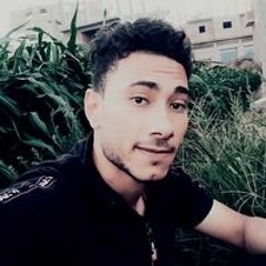 هشام الحصري