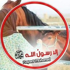 Noura