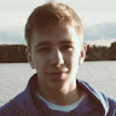 Василий Кошкин