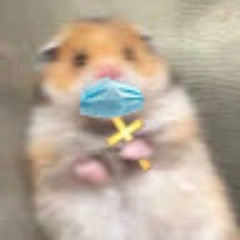 HamsterCross