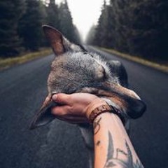 Сергей Николаевич Садовой