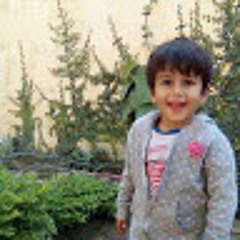 asia Shaheen