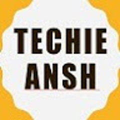 Techie Ansh