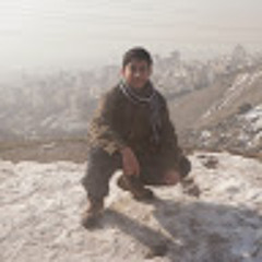 amir semyari