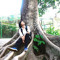 Lục Phong